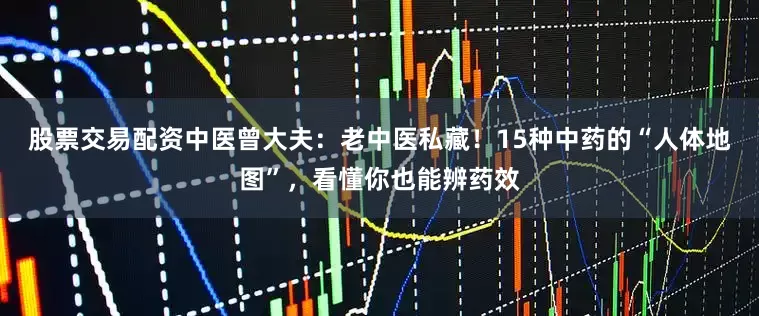 股票交易配资中医曾大夫：老中医私藏！15种中药的“人体地图”，看懂你也能辨药效