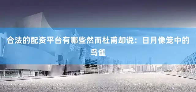 合法的配资平台有哪些然而杜甫却说：日月像笼中的鸟雀
