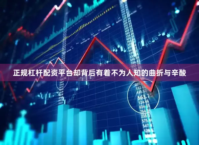 正规杠杆配资平台却背后有着不为人知的曲折与辛酸